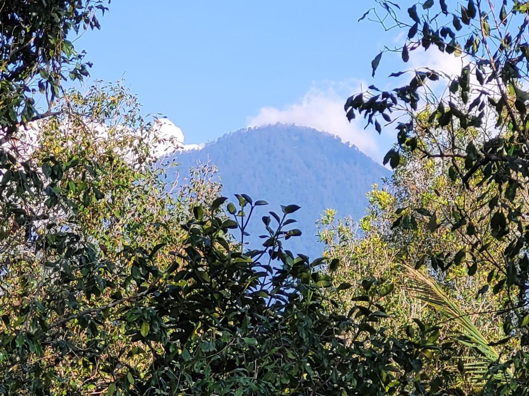 דירות Munduk Umah Yugadi Bali מראה חיצוני תמונה