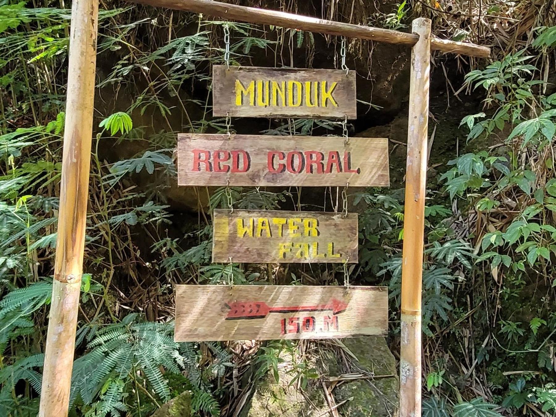 דירות Munduk Umah Yugadi Bali מראה חיצוני תמונה