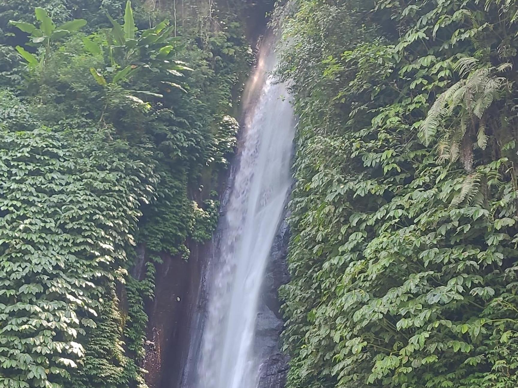 דירות Munduk Umah Yugadi Bali מראה חיצוני תמונה