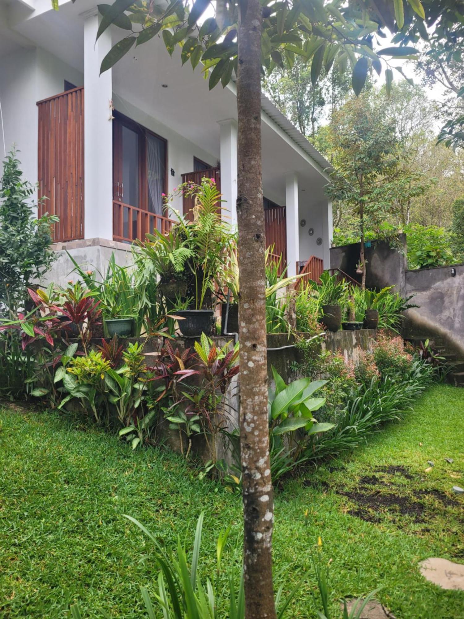 דירות Munduk Umah Yugadi Bali מראה חיצוני תמונה